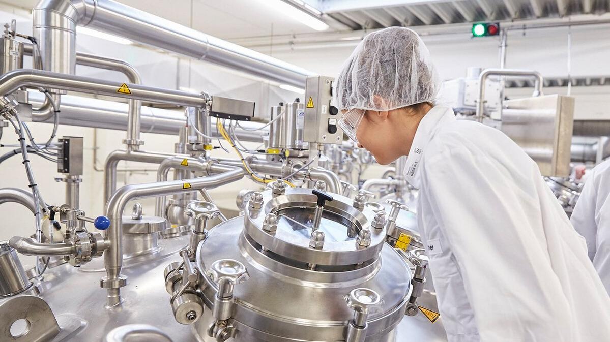 Bund fördert Hamburgs erstes MINT-Cluster für den weiblichen Fachkräftenachwuchs